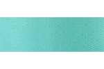 7/8' Plain Edge Aqua