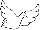 Dove